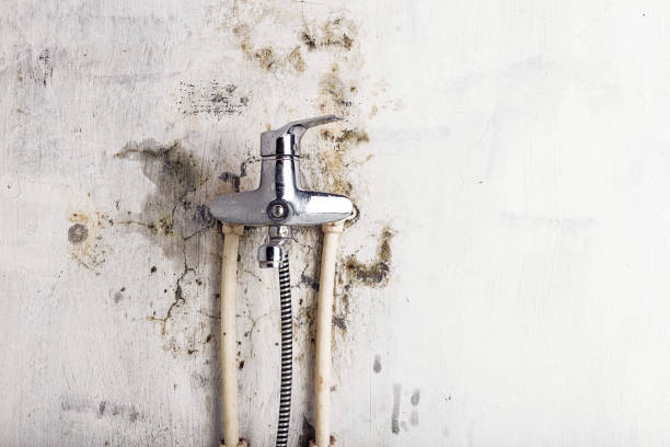 Best Water Damage Restoration  in Colquitt, GA