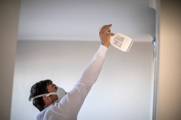 Best Mold Cleaning Services  in Colquitt, GA